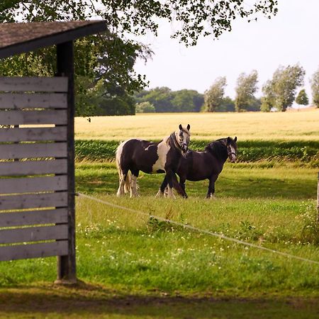 Hesselgaard Glamping Hotel Dalby Kültér fotó