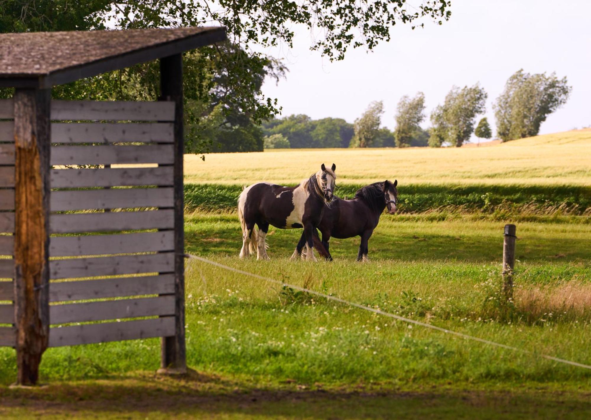 Hesselgaard Glamping Hotel Dalby Kültér fotó