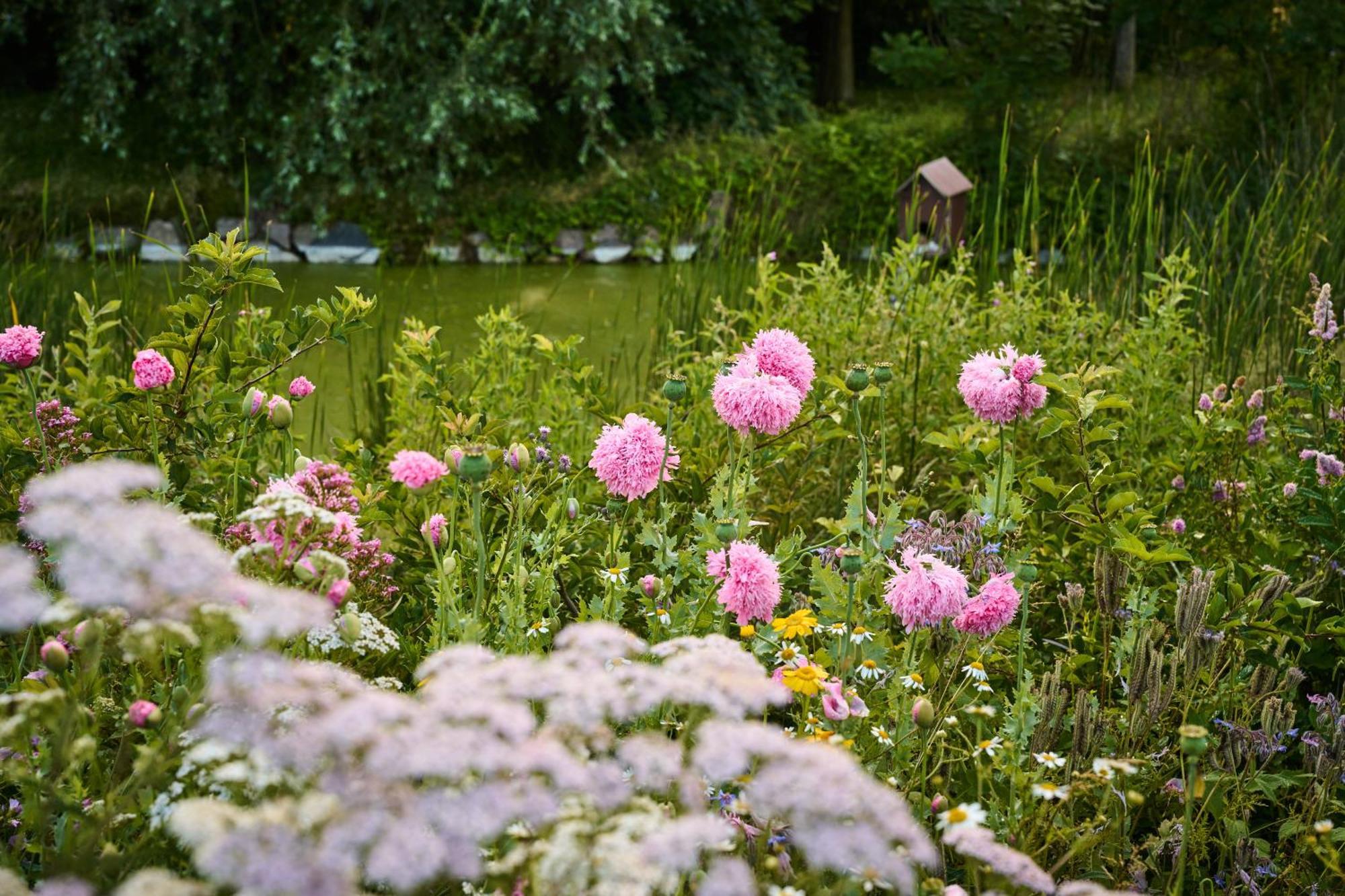 Hesselgaard Glamping Hotel Dalby Kültér fotó
