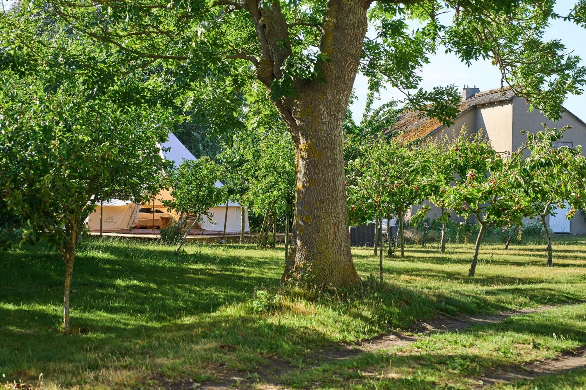 Hesselgaard Glamping Hotel Dalby Kültér fotó